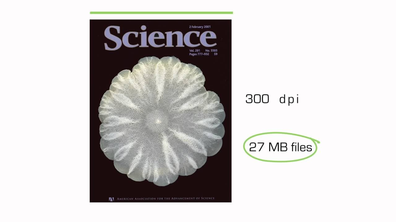 MIT- Making Science and Engineering Pictures – Video 6: Setting the Exposure