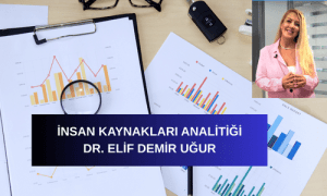 İnsan Kaynakları Analitiği, Veri Analizi ve İKA, İş Gücü Planlaması, Performans Değerlendirme, İK Stratejileri